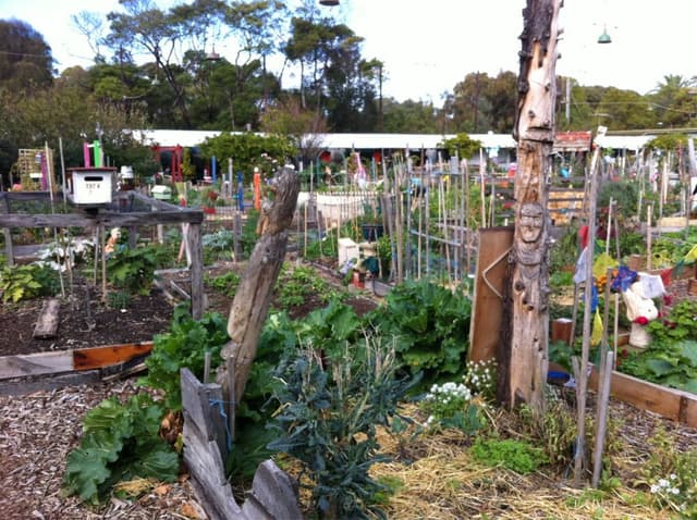 Veg Out Community Gardens
