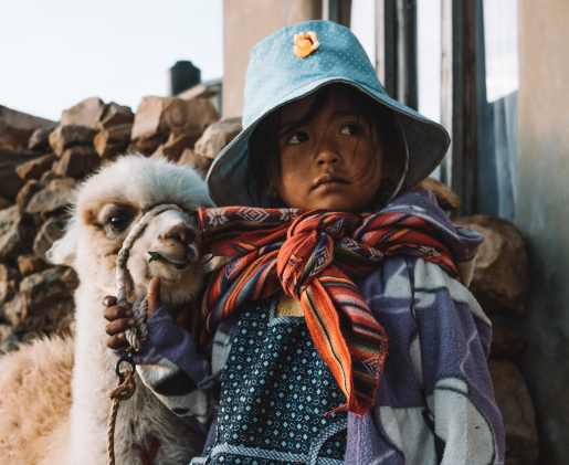 Habitat Action and Peace